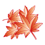 momiji04.jpg